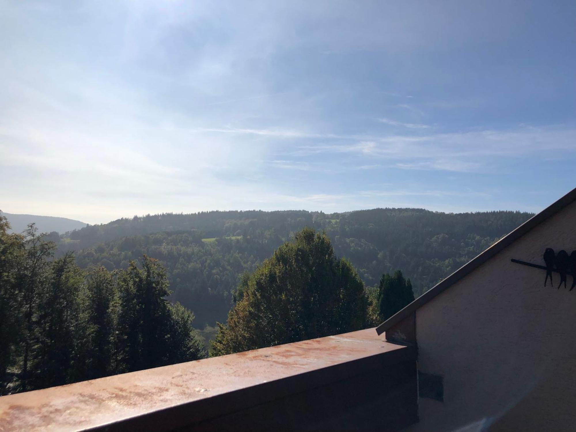 Duplex - Proche De Gerardmer Le Tholy Exterior foto
